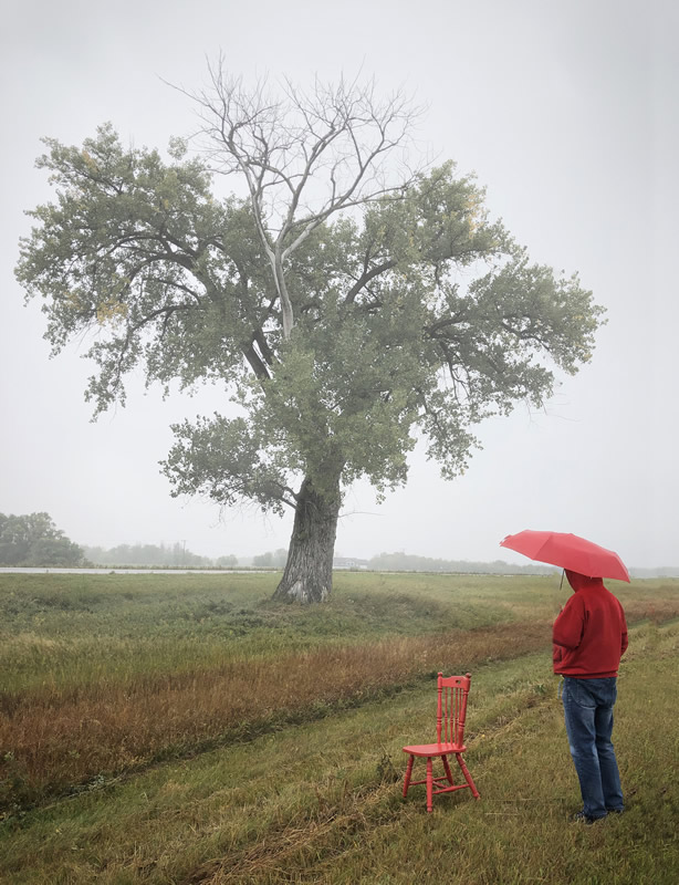 Remembering at Halfway Tree by Darlene Perkin